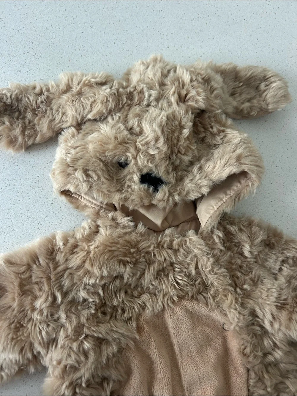 Pottery Barn Baby Labradoodle Dog Halloween Costume 0-6 Months - Picture 3 of 6